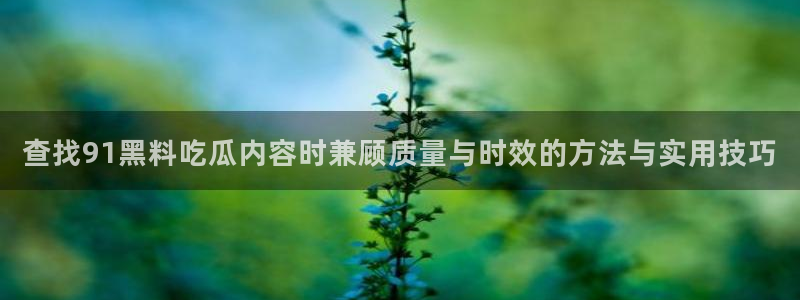 每日吃瓜